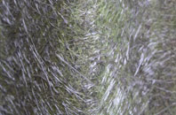 Ockle fibreglass roof work