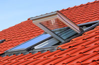 Ockle roof window